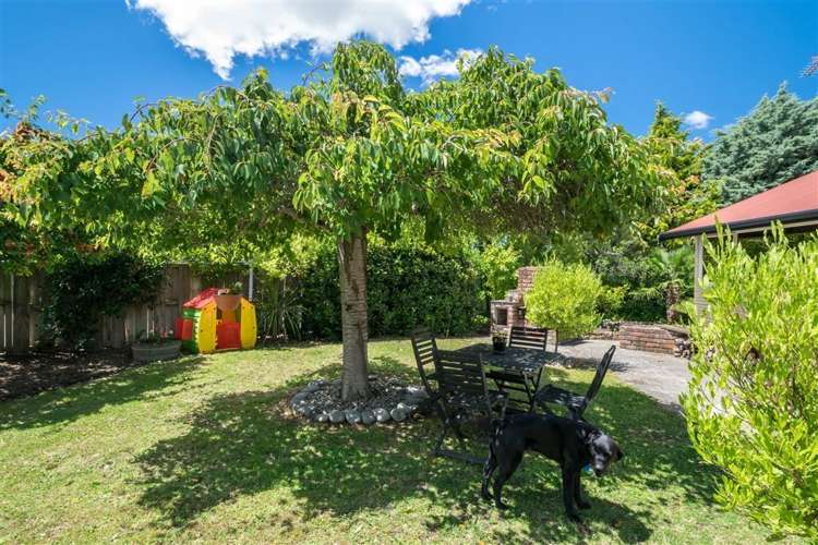 9 Boyce Street Renwick_19