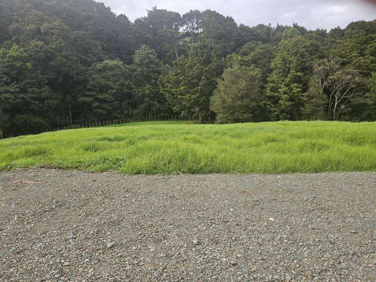 Lot Lot 1/675 Gorge Road Maungaturoto_9