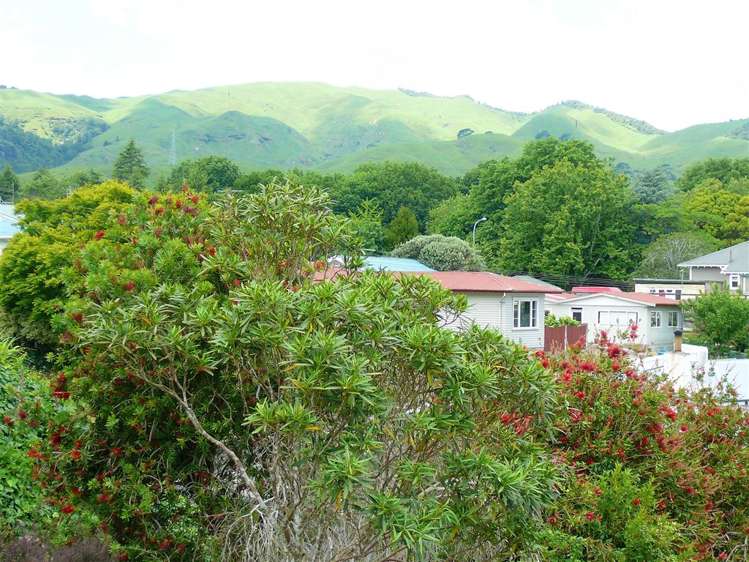 12 Claremont Avenue Paeroa_8