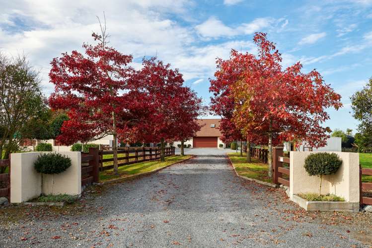 304 Inland Kaikoura Road Kaikoura_6