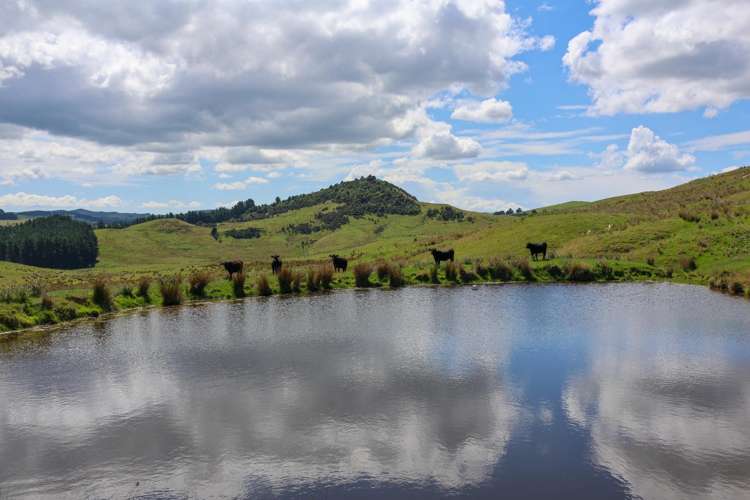 98 Millstream Road_2