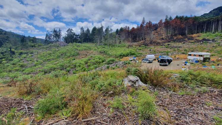 574 Honeymoon Valley Road Peria_1