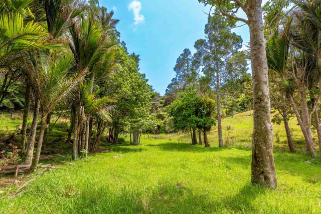 542 Duddy Road Hokianga_2