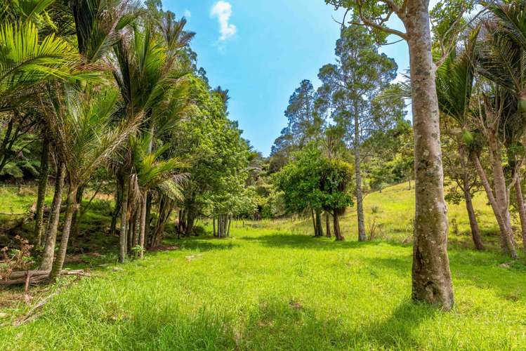 542 Duddy Road Hokianga_1