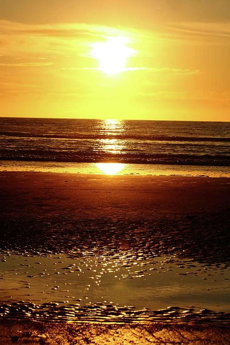 36B Palmer Road Foxton Beach_16