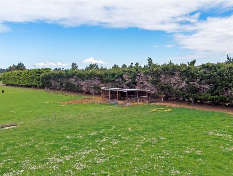 499 Upper Sefton Road Sefton_18