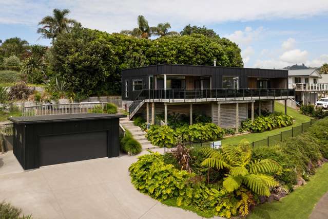 Elevated Family Entertainer!