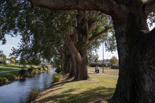 Penney Avenue Kaiapoi_2