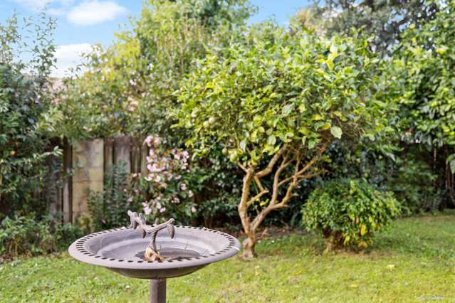 15c Beresford Street Pukekohe_2