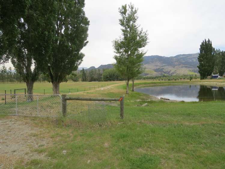 1180 Luggate - Cromwell Road Cromwell_5