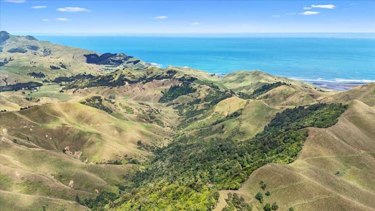 1295 Marokopa Road Marokopa_10