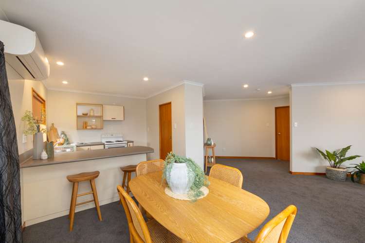 284 College Street West End_5