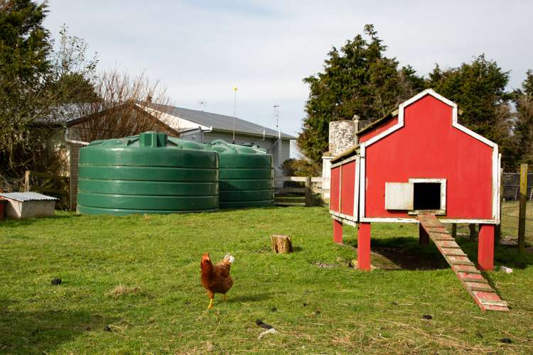 487 France Road Rangitikei Surrounds_16