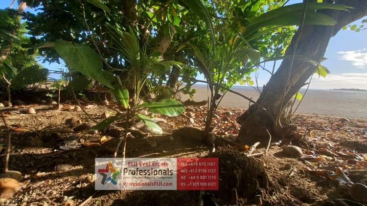 Address withheld Savusavu_28