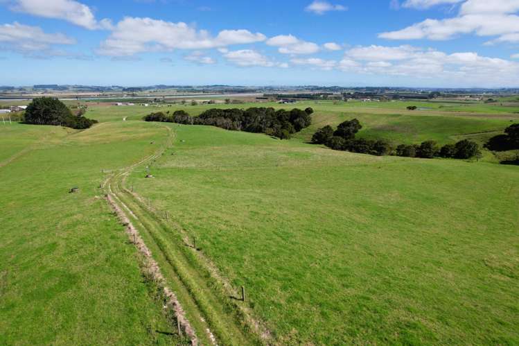 6320 State Highway 12 Dargaville_24