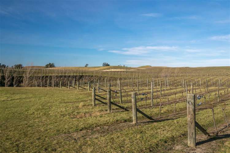 5468 State Highway 1 Seddon_21