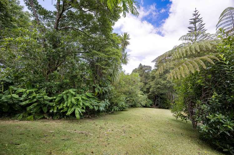 59 Don Buck Road Massey_14