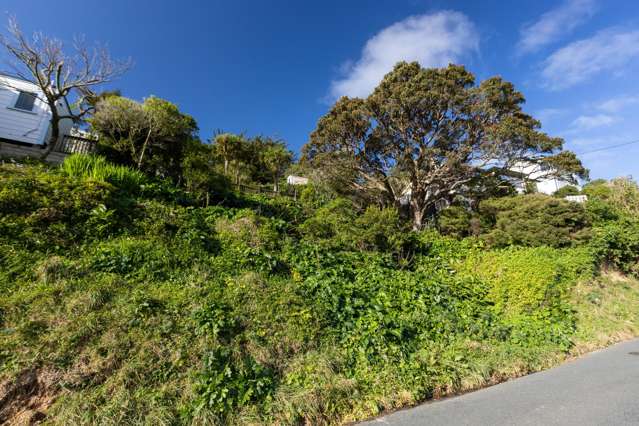 19 Mornington Road Brooklyn_1