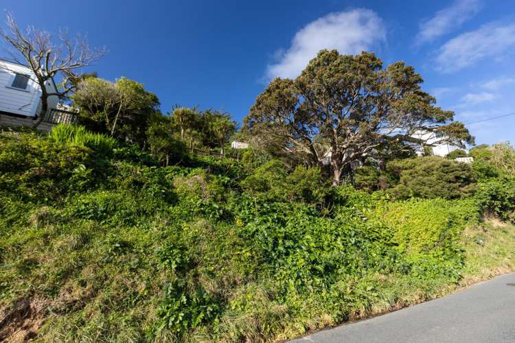 19 Mornington Road Brooklyn_1
