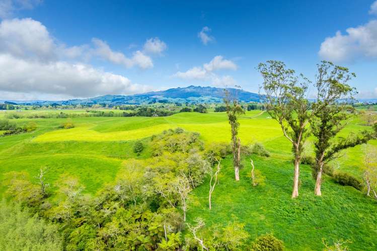 112 Waiari Road Pirongia_16