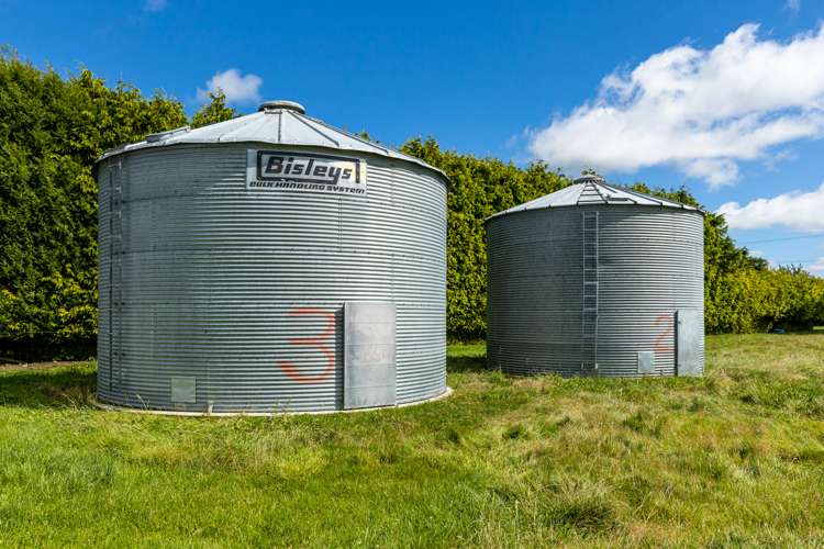 3239 Thompsons Track Ashburton Forks_15