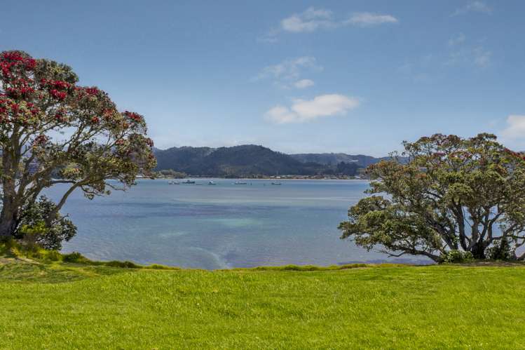 11 Brodie Lane Pauanui_5