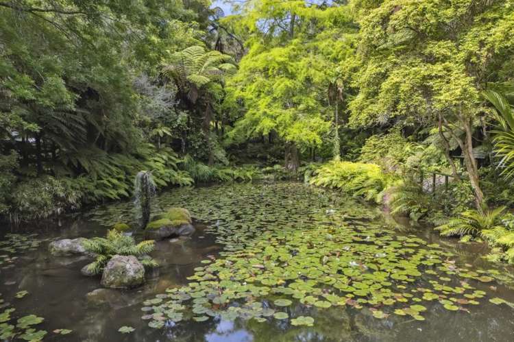 586 Tapu Coroglen Road Tapu_4