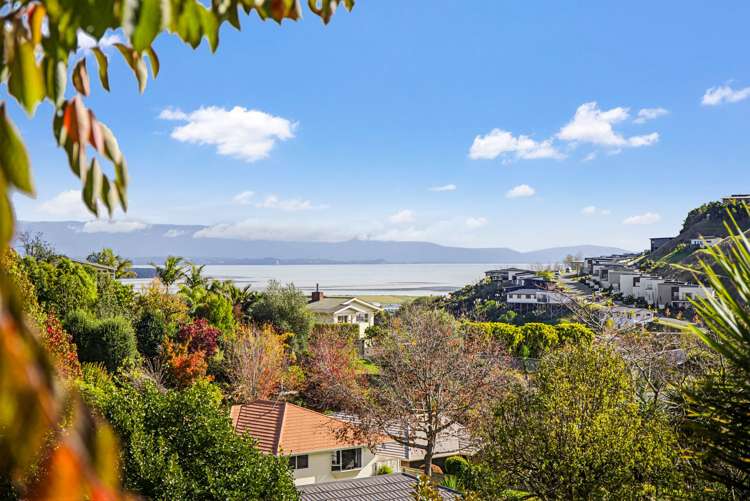 41 Panorama Drive Enner Glynn_22