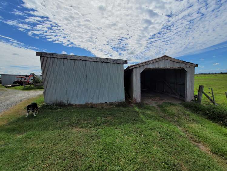 1919 Pouto Road Te Kopuru_15