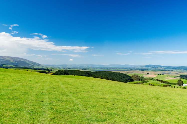 Waihola Hill Road Milton_3