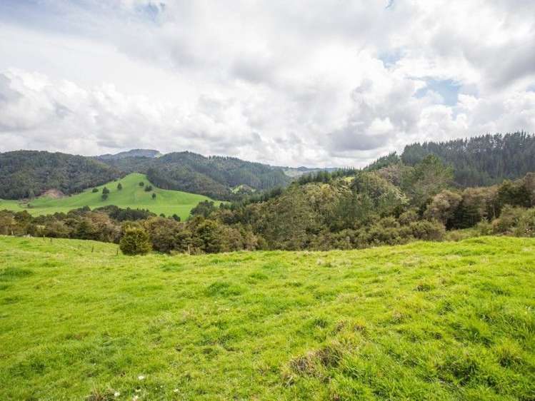 522 Tapuhi Road Hukerenui and Surrounds_16