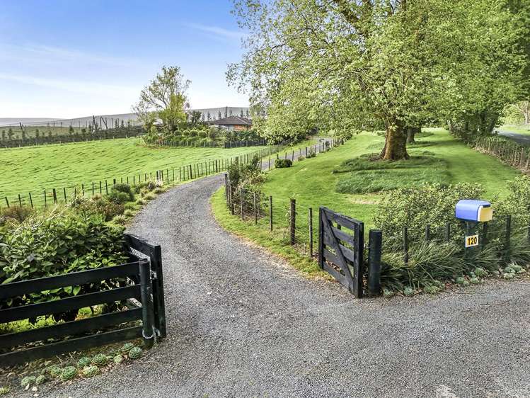 120 Mcgregor Road Ohaupo_23