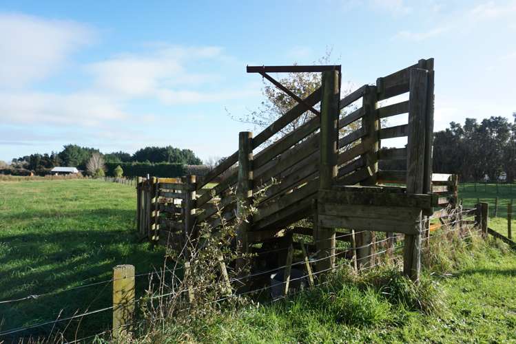 69 Avenue North Road Levin_5