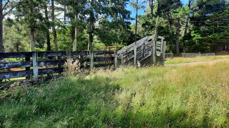 429 Scotts Road Linton_18