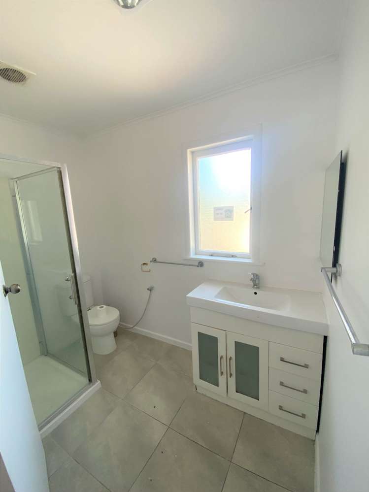 119 Bolton Street Blockhouse Bay_8