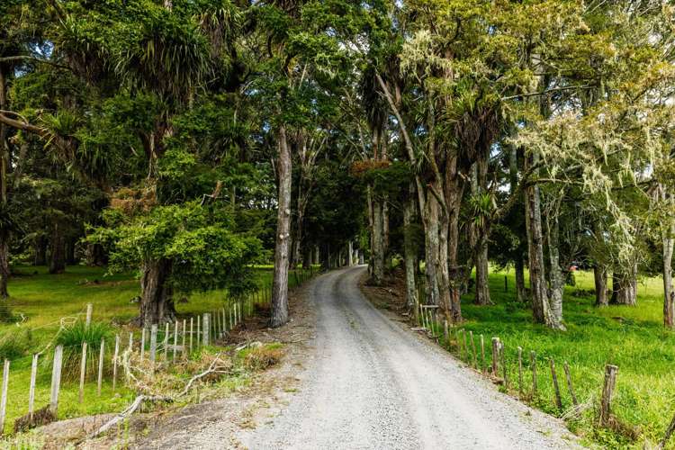 75 Thorpe Rd Kaikohe_59