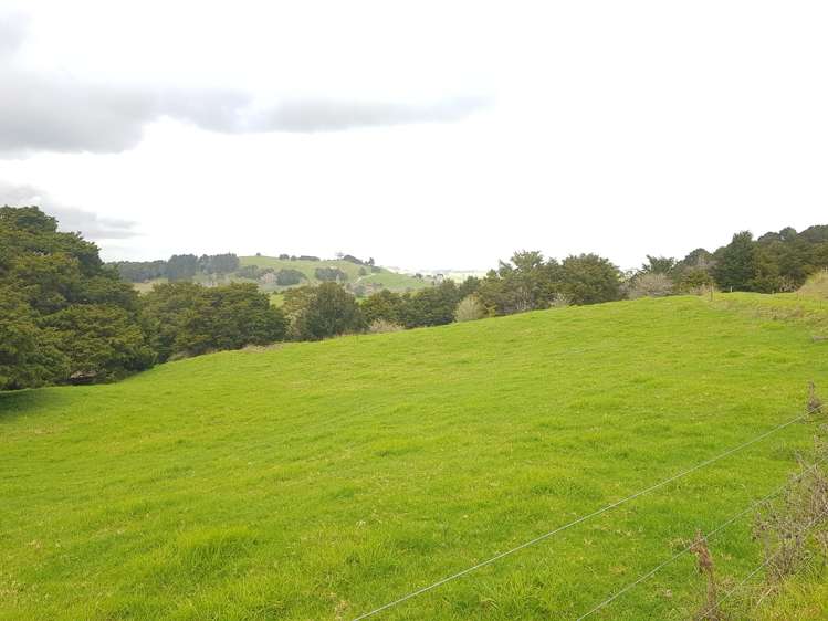 504 Wairere Road Paparoa_30
