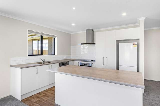 44 Da Vinci Avenue Leeston_1