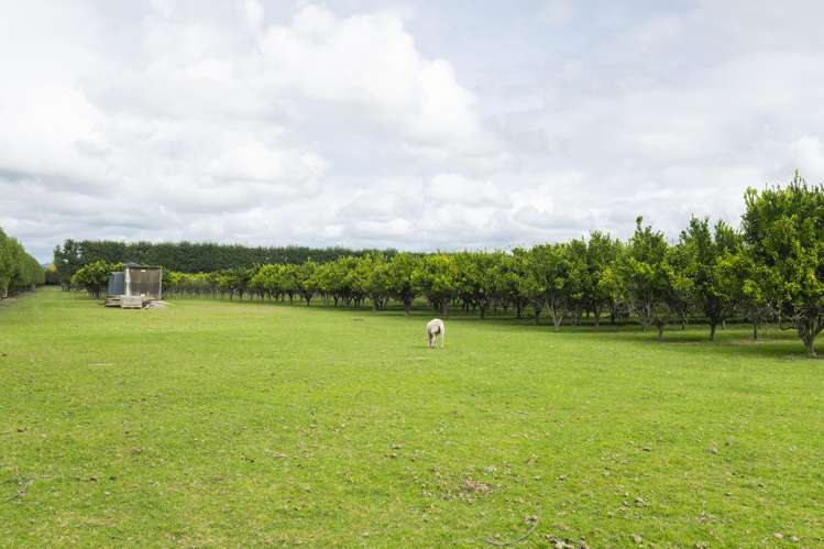 209 Bell Road Makaraka_23