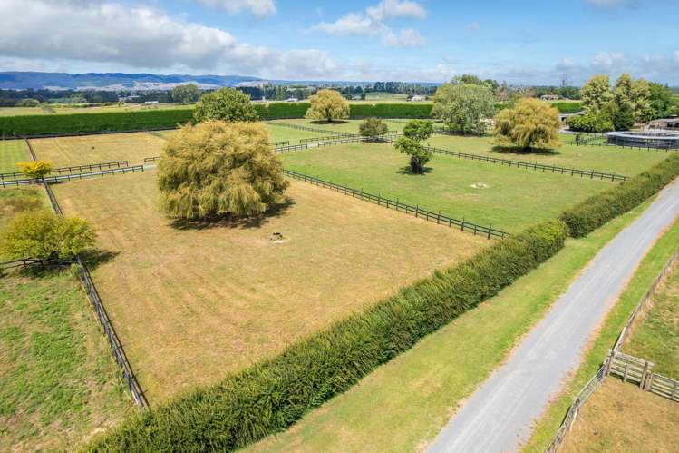 4602A State Highway 29 Matamata_22