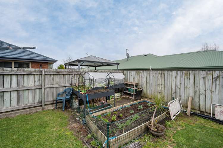 338 Suffolk Road Stoke_21