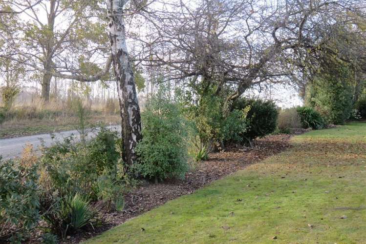 240 Painton Road Geraldine_7