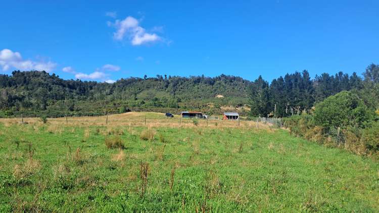 7868 Lower Buller Gorge Road Westport_12