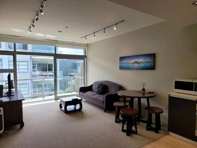 Sunny penthouse fully furnished 2 beds