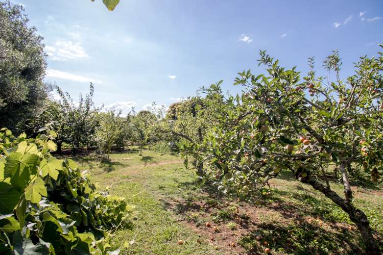 7208 State Highway 26 Paeroa_16