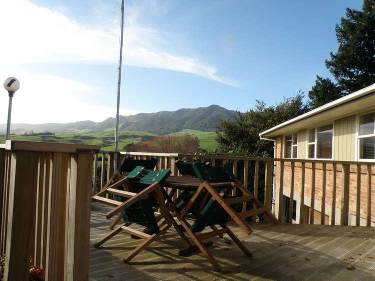 84 Old Te Aroha Road Te Poi_3