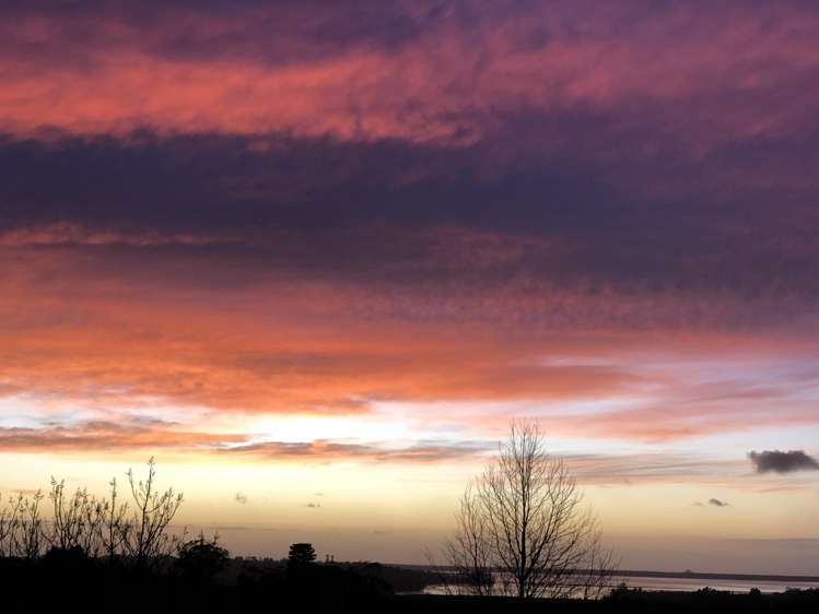 244 Lindemann Road Tahawai_55