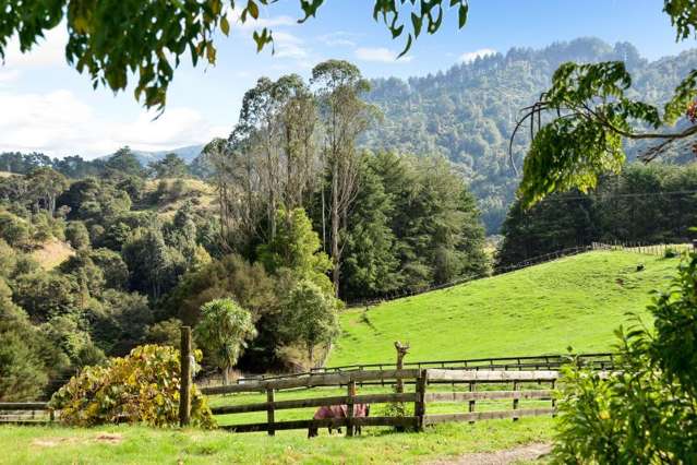473A Waingaro Road Ngaruawahia_4