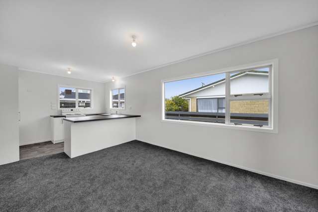 8a Milmoe Street Hawera_2