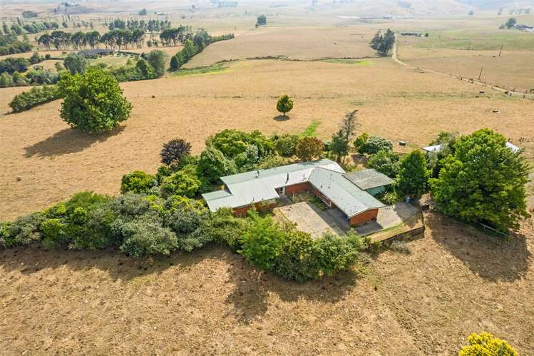 180 Manuel Road Morrinsville_27